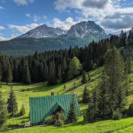 Magic Mountain Villa Zabljak  Ngoại thất bức ảnh