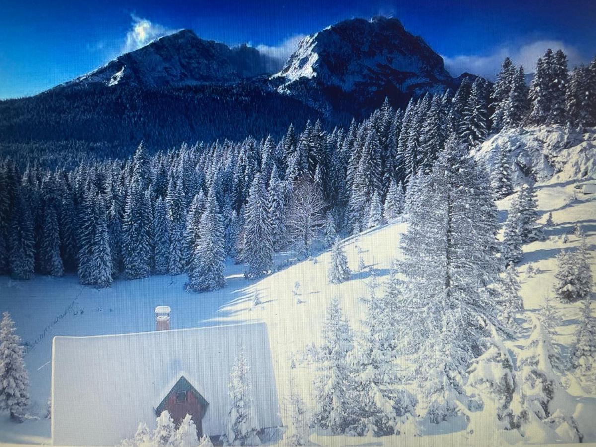 Magic Mountain Villa Zabljak  Ngoại thất bức ảnh