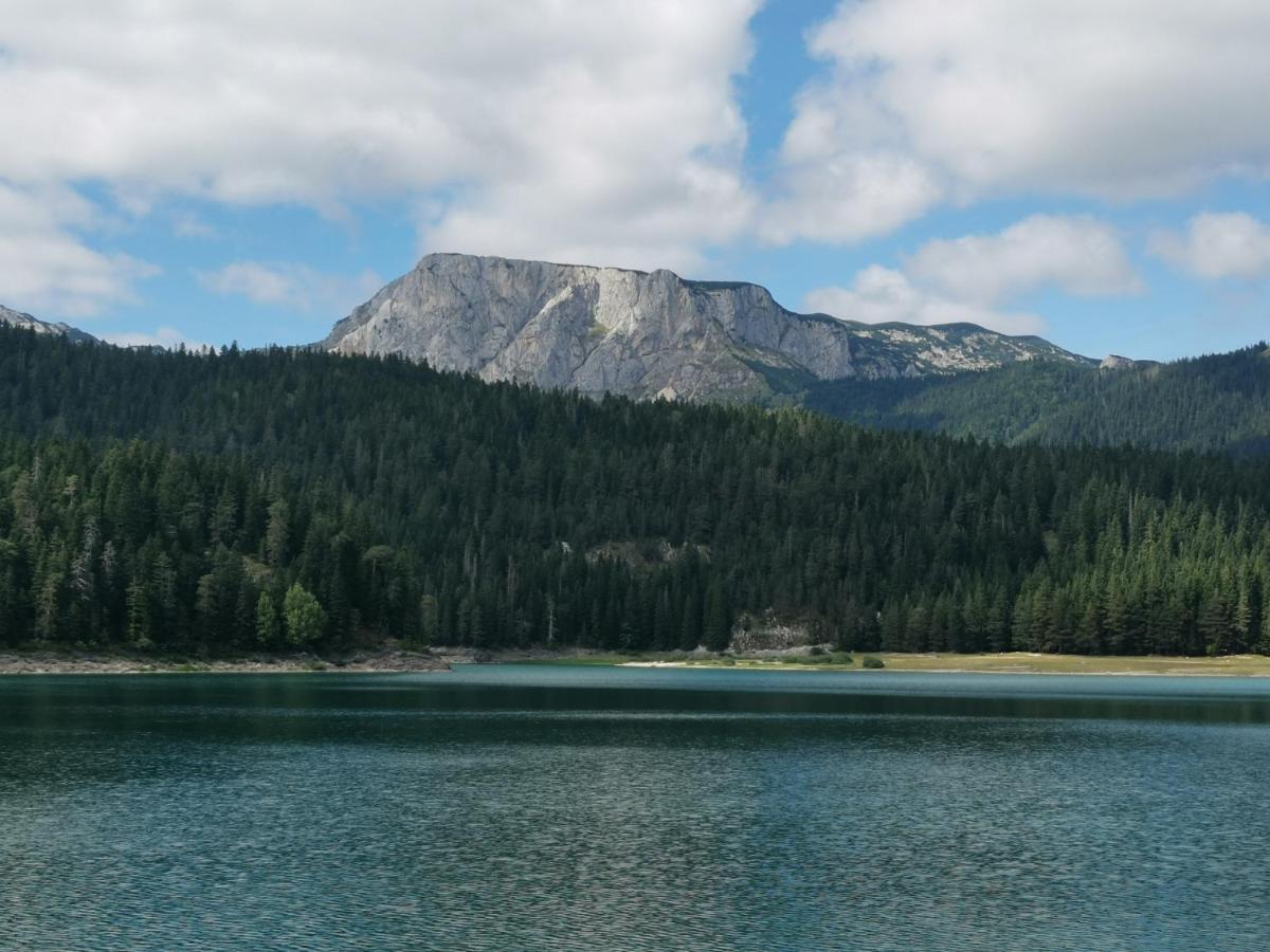 Magic Mountain Villa Zabljak  Ngoại thất bức ảnh