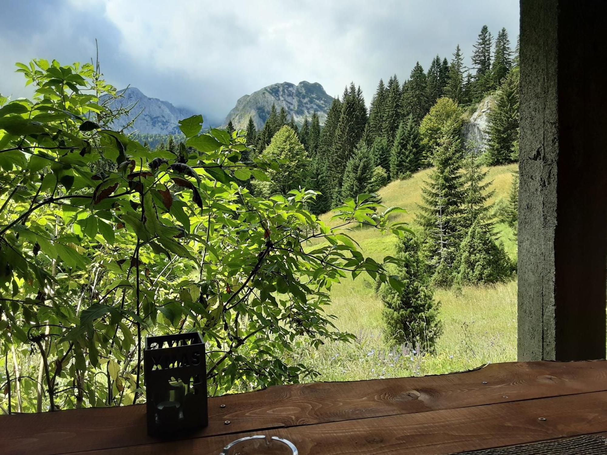 Magic Mountain Villa Zabljak  Ngoại thất bức ảnh