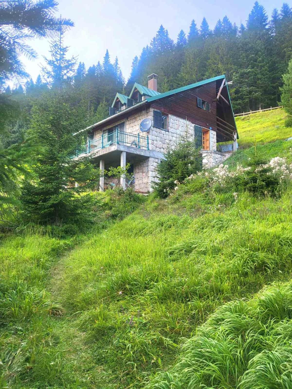 Magic Mountain Villa Zabljak  Ngoại thất bức ảnh